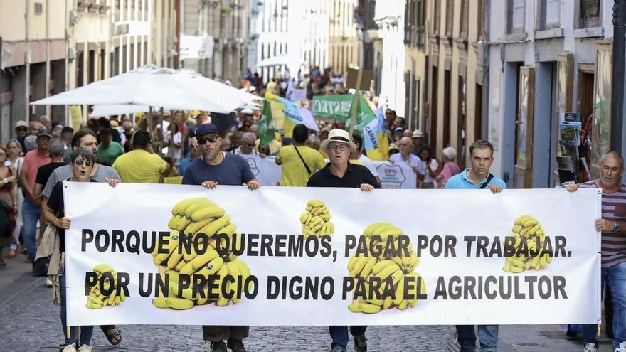 Agricultores y ganaderos canarios también sacarán los tractores a la calle después de carnavales
