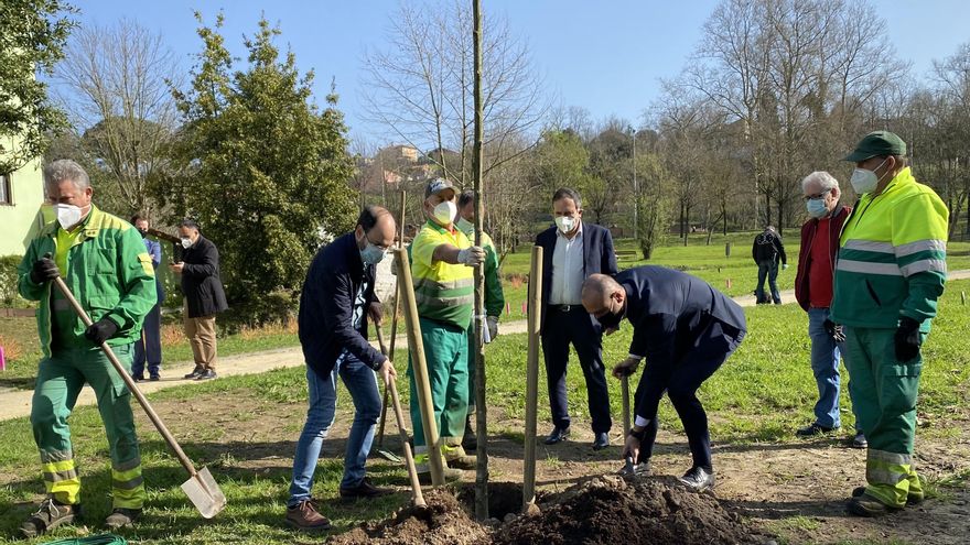 Plantación de un árbol en el parque Miravalles