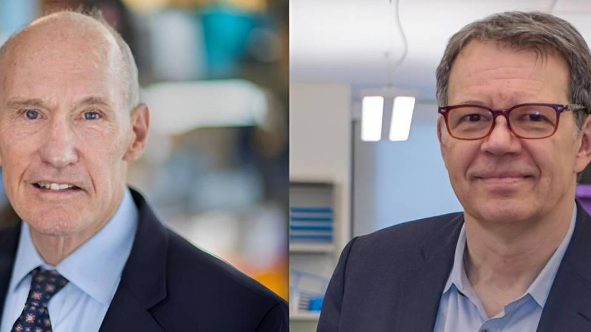 Premio Fronteras del Conocimiento a los pioneros de la inmunoterapia CAR-T contra el cáncer