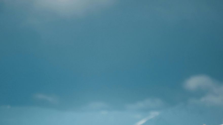 ¿Por qué los renos se comen sus propios cuernos?