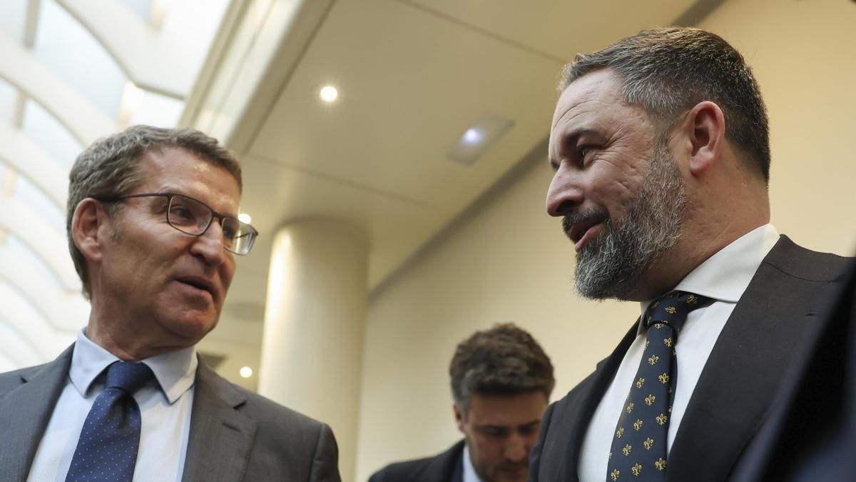 El líder del PP, Alberto Núñez Feijóo, y el de Vox, Santiago Abascal, en una imagen de archivo en el Senado. EFE/ Kiko Huesca