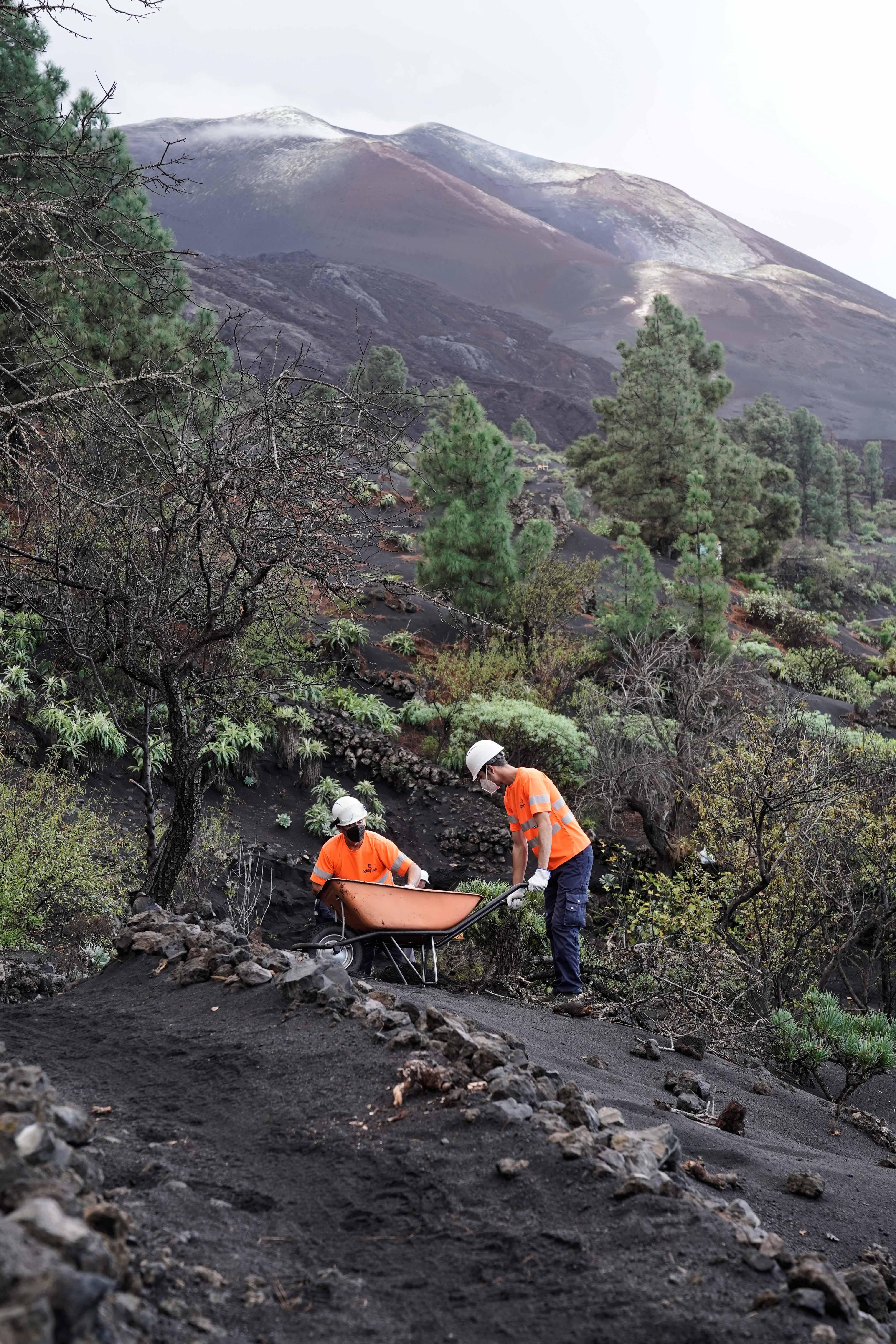 Personal del Plan Extraordinario de Empleo y Formación (PEEF) de La Palma   retirando ceniza  del volcán.