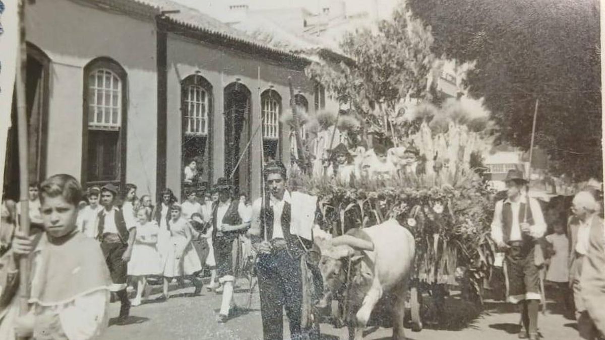 Romería de San Isidro y La Patrona