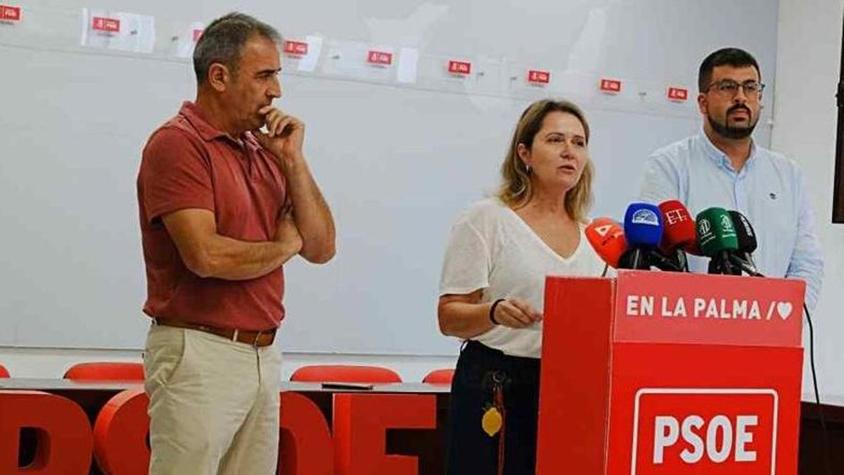 El PSOE dice que el Gobierno canario “elude la transparencia y aviva la incertidumbre entre los afectados”