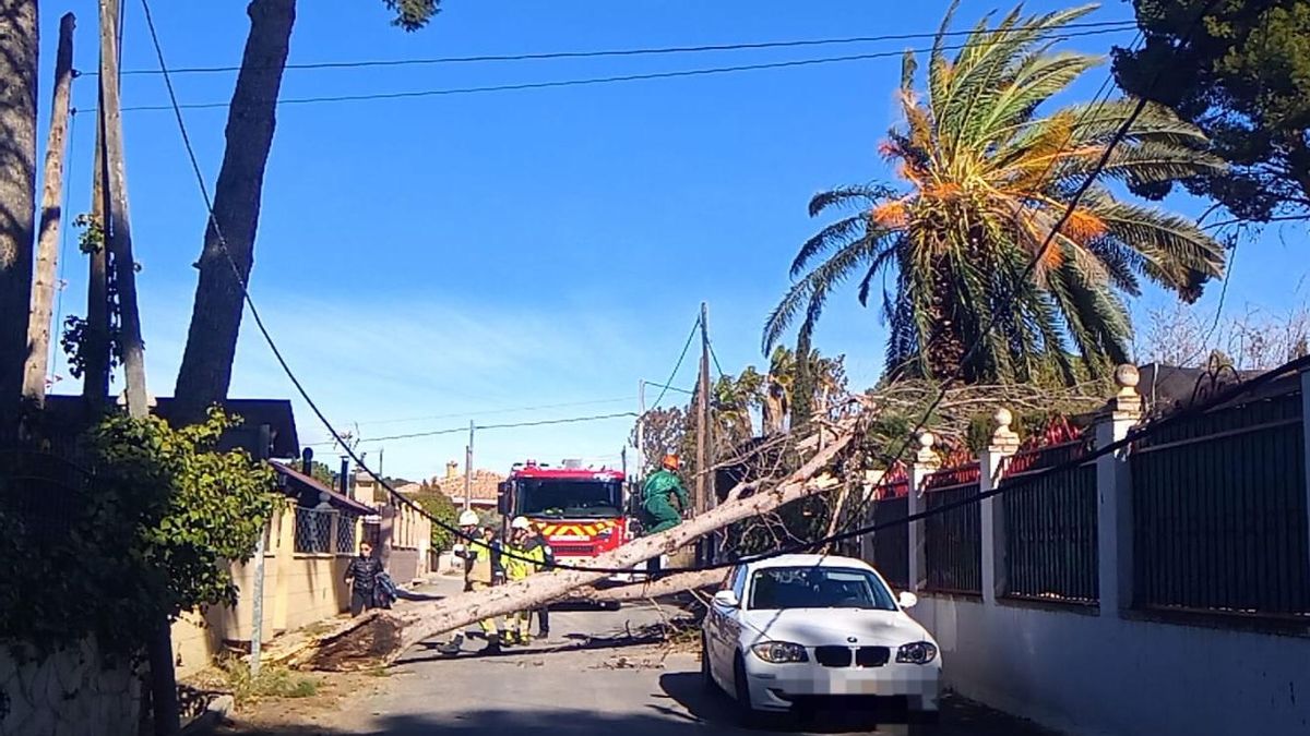 Actuación de los bomberos de la Diputación de Albacete el 28 de enero de 2026