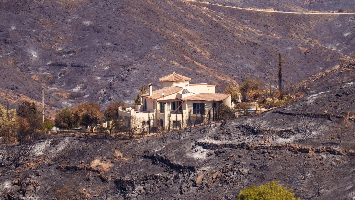 Casas aisladas y una sola vía de acceso: el desafío de evacuar un pueblo de la Almería rural ante el incendio