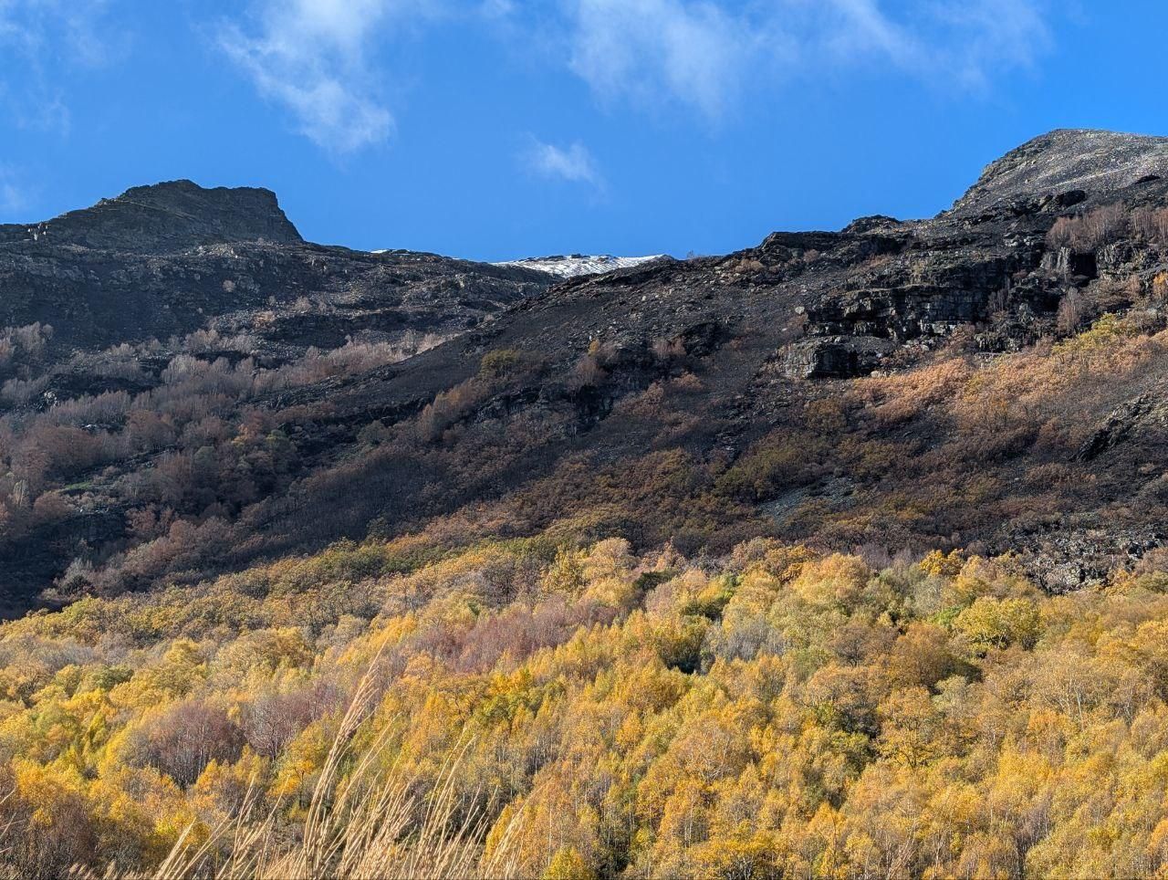 El Lago de la Baña tres meses después de ser arrasado por el fuego