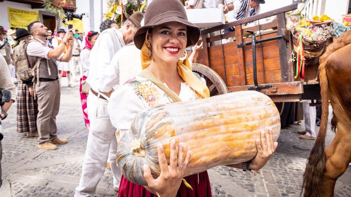 Carretas municipales en la Romería-Ofrenda en honor a la Virgen del Pino.
