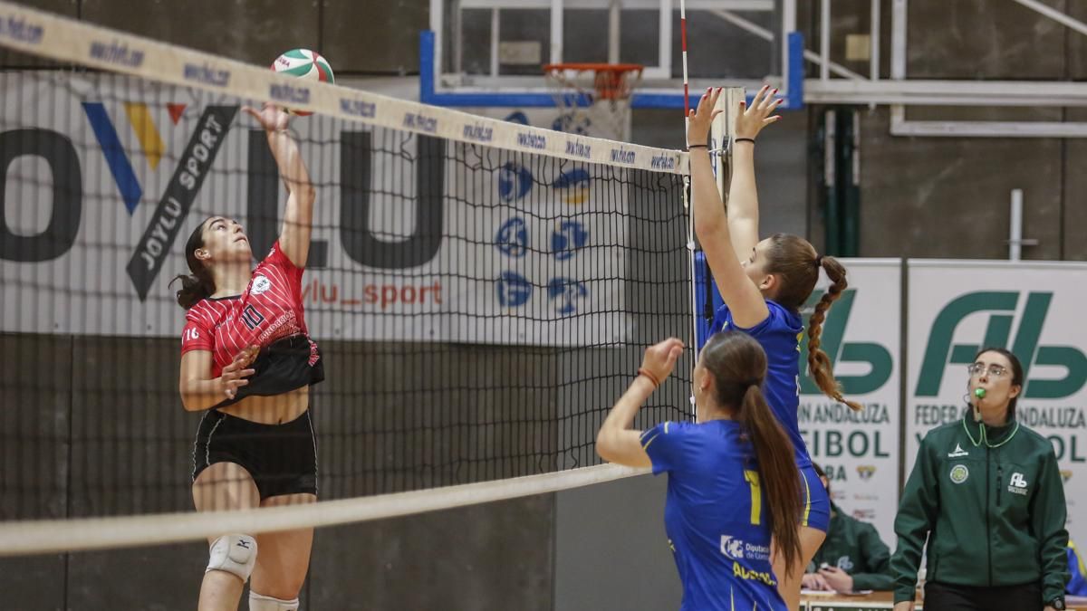 Final del Campeonato de Andalucía de Voleibol