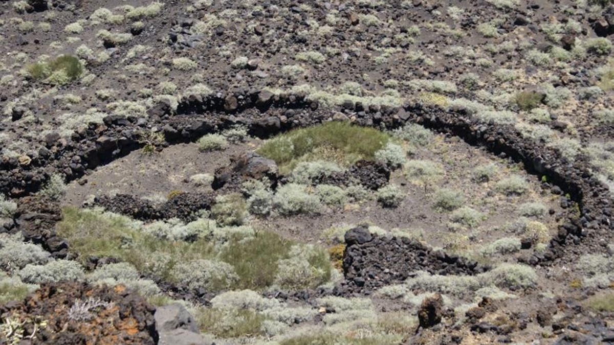 Los cantones o bandos prehispánicos de Benahoare V: Tigalate