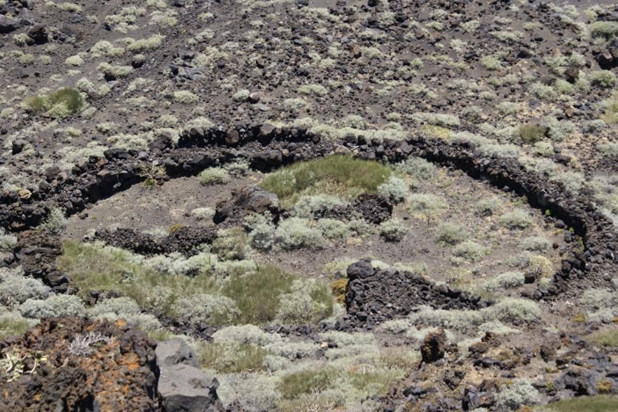 Posible tagoror en la desembocadura de Barranco Hondo (Porís de Tigalate. Villa de Mazo) (Foto: Jorge Pais Pais).
