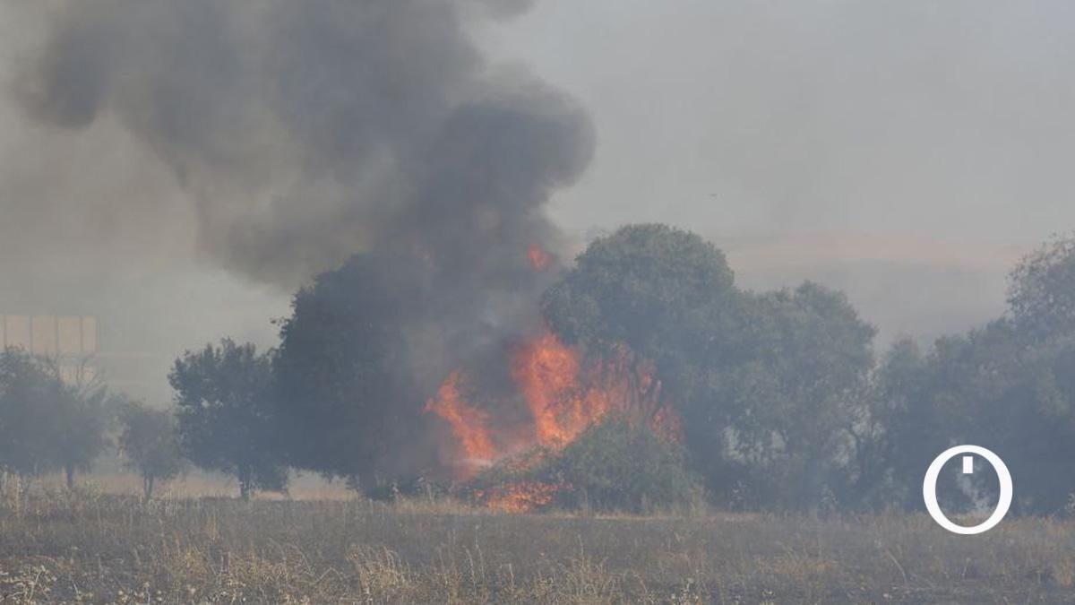 Incendio forestal en Las Quemadas
