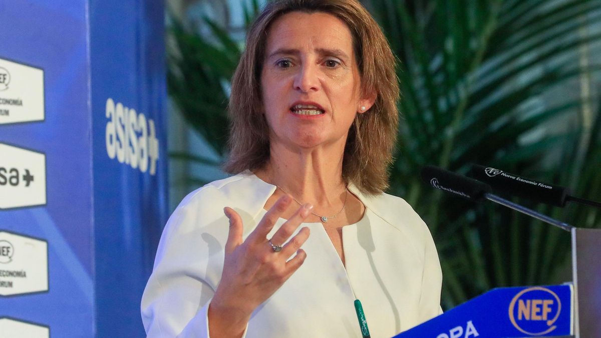La vicepresidenta tercera y ministra para la Transición Ecológica y el Reto Demográfico, Teresa Ribera, en una imagen de archivo.