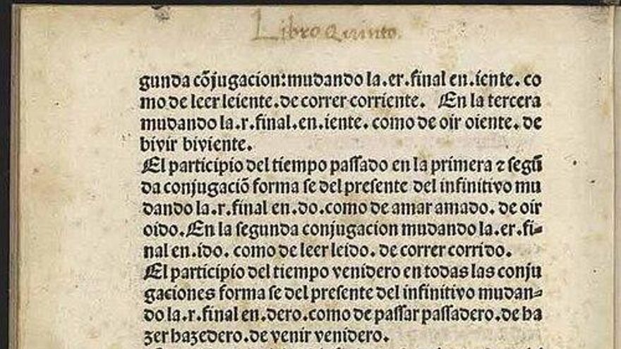 De Alejandría a la RAE: los “sorprendentes usos sociales” de las gramáticas desde hace más de 2.000 años