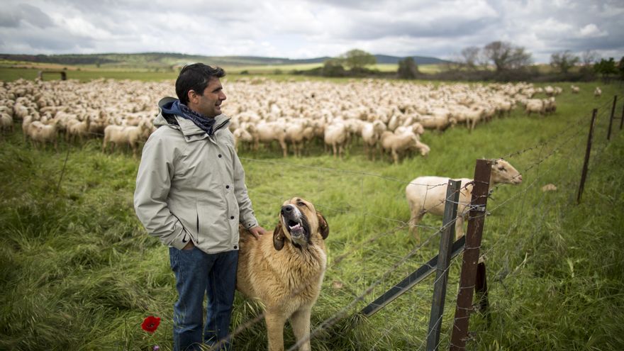 Los pequeños ganaderos que quieren regenerar la tierra contra la crisis climática