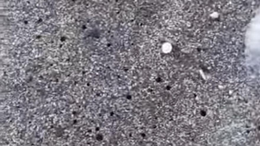 Pellets en Tenerife: así afectan a la costa de Bajamar