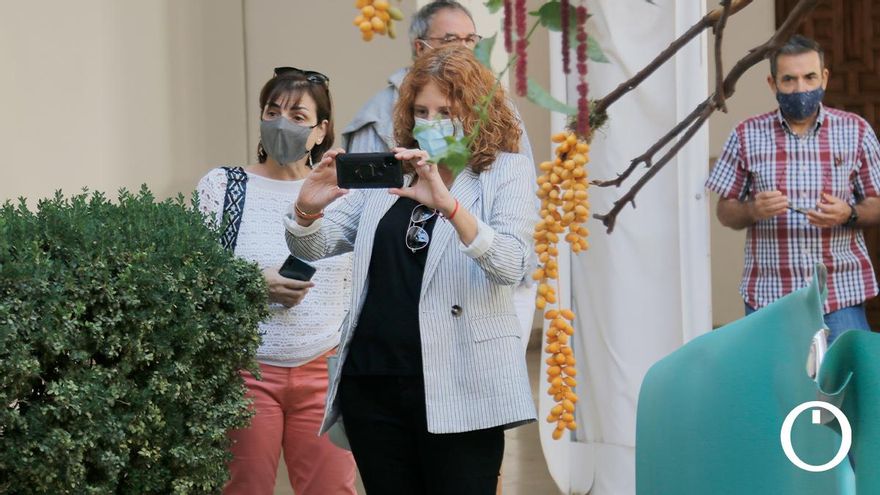 Instalación de Flora 2021 en el Museo Arqueológico