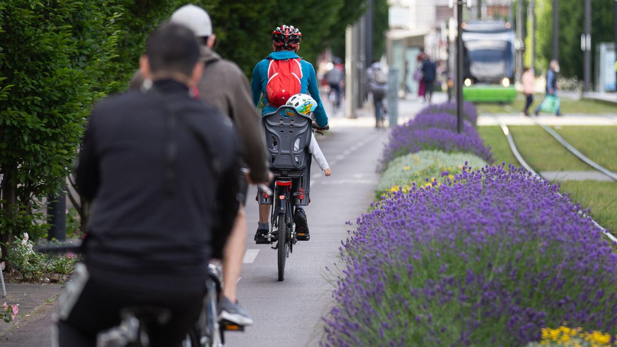 Archivo - Varias personas montan en bicicleta por Vitoria-Gasteiz