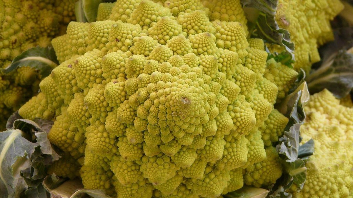Crema de romanesco: cómo preparar esta verdura de sabor suave y forma espectacular