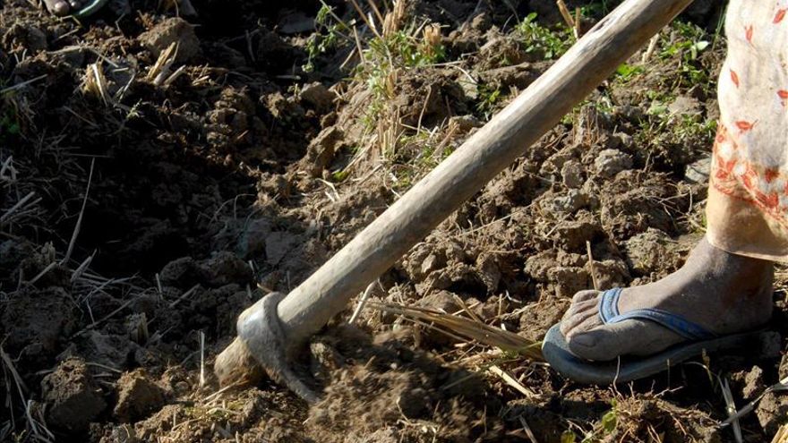 La mujer rural afronta la violencia con miedo y peor acceso a los recursos