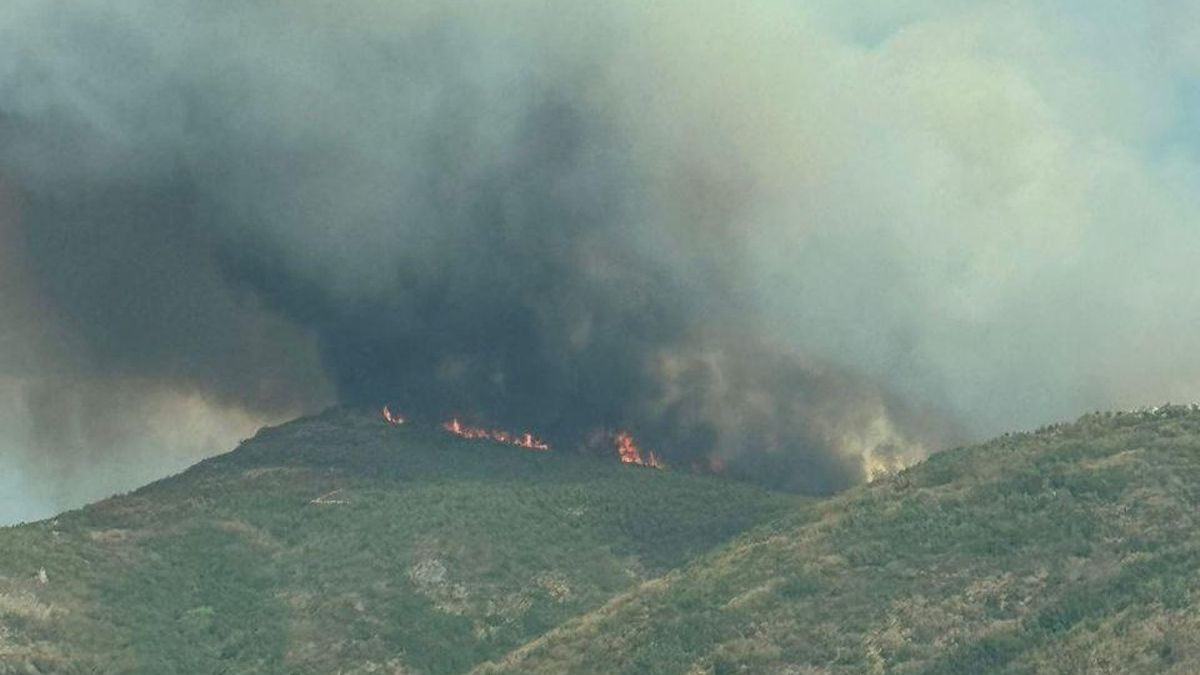Incendio en el monte de Garaño desde la autopista AP-66 León-Asturias
