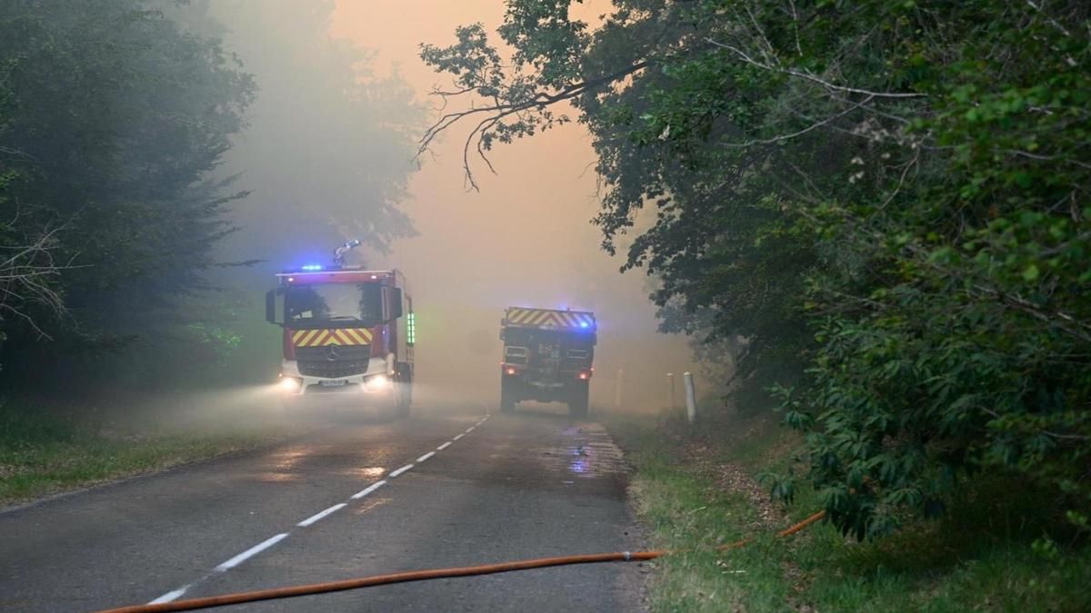Incendio en el bosque de Fontainebleau