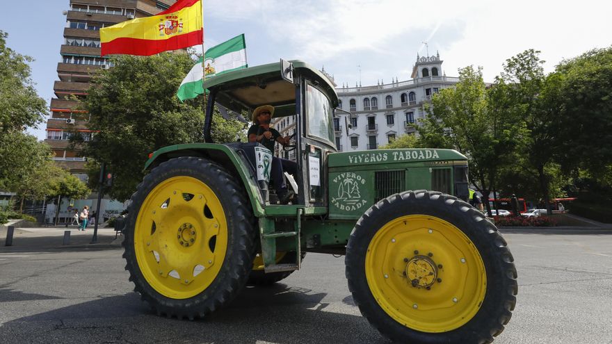 Siembra fresas y recoge votos: el agua inunda las urnas del 28M