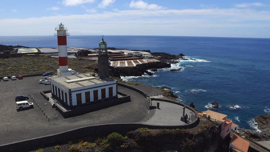 ¿Supervivientes climáticos? Erizos de mar usan la costa de La Palma como refugio para adaptarse a océanos cada vez más ácidos