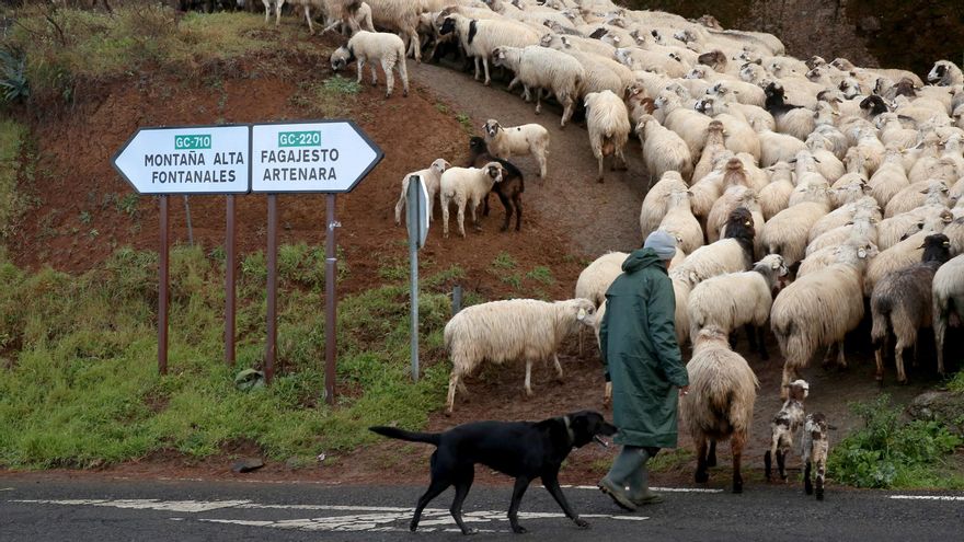 La vida en un pueblo canario con más pensionistas que trabajadores: “El gran problema es que no llega la fibra óptica”