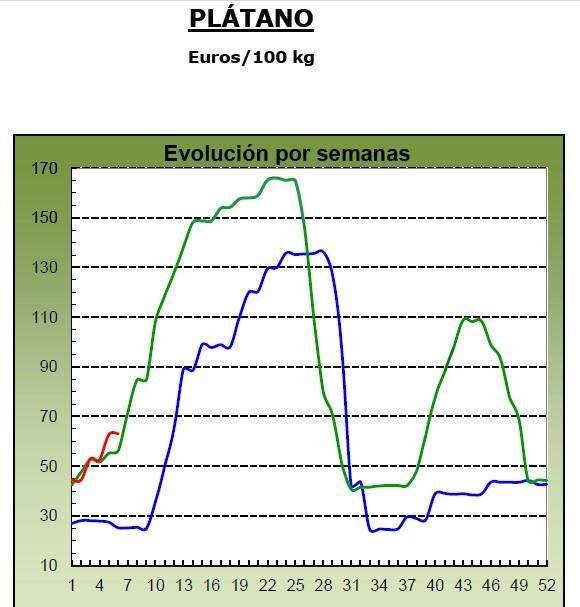 Evolución de los precios medios percibidos por el platanero canario en 2024 (marca azul), 2025 (verde) y 2026 (roja, hasta la semana seis).