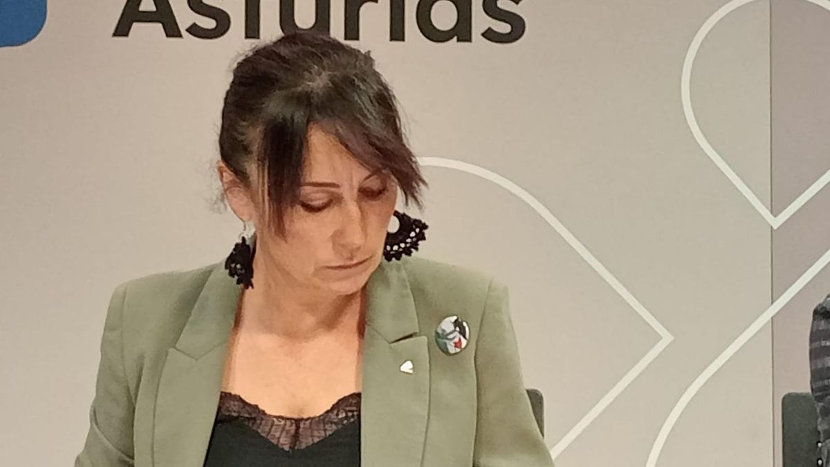 Begoña Collado, secretaria de Igualdad de Izquierda Unida (IU) de Asturias, en una imagen de archivo.