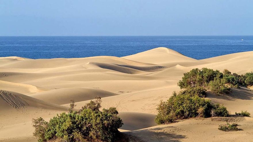 Seis de los paisajes de dunas más espectaculares de España
