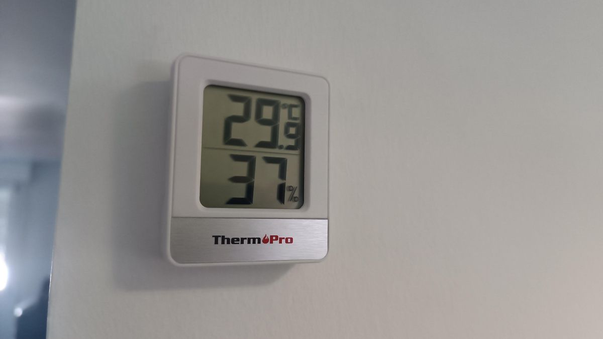 El 'horno' de la vieja sede del Gobierno vasco en Vitoria: "El termómetro marca 39,6. Una trabajadora tiene taquicardia"