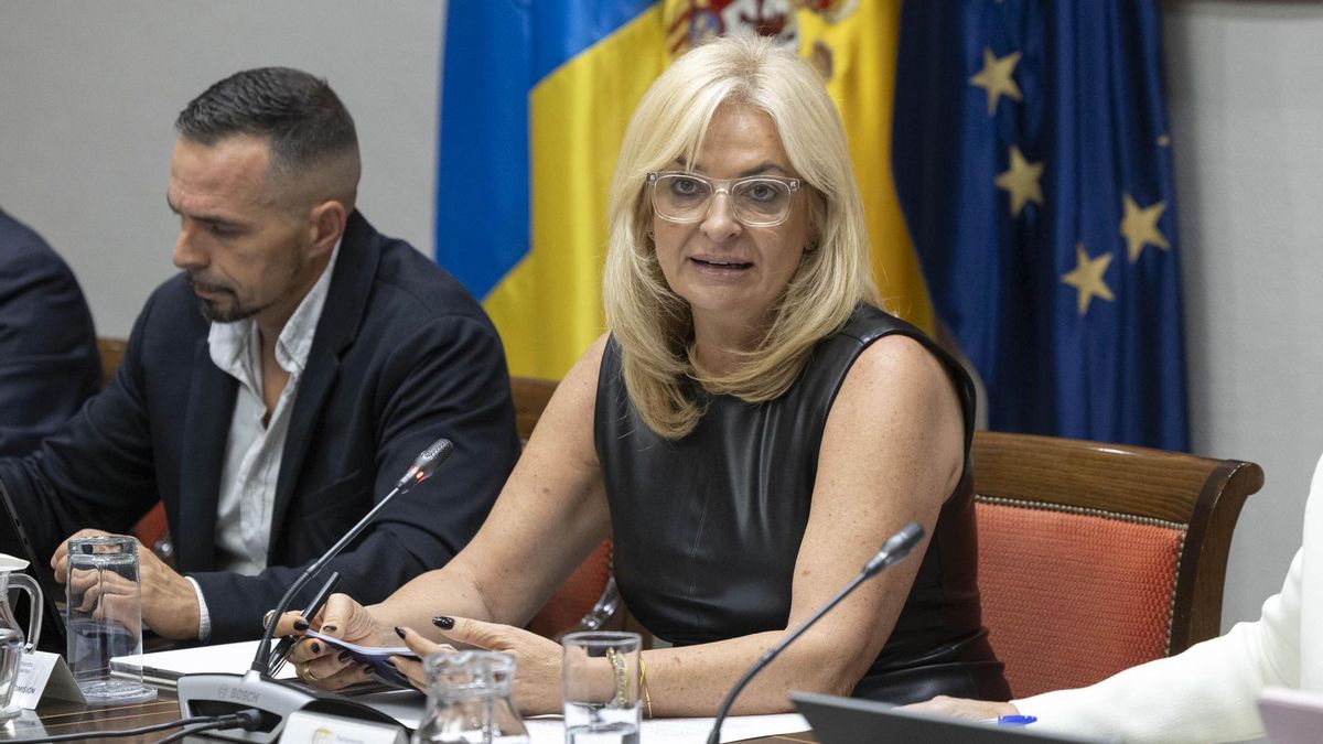 La consejera de Sanidad del Gobierno de Canarias, Esther Monzón (d), ha expuesto este jueves al Parlamento los presupuestos de su área para 2026, acompañada por el director del Servicio Canario de la Salud, Adasat Goya (i).