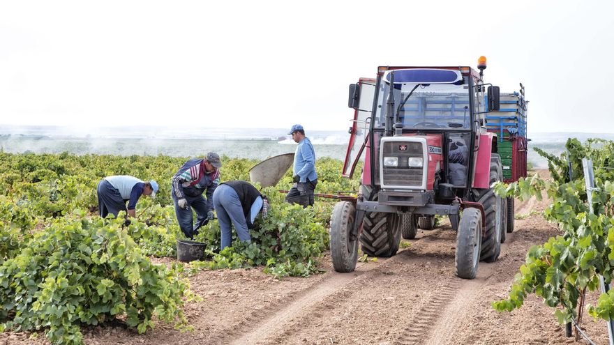 Los sindicatos solicitan un informe oficial sobre los salarios y cotizaciones de los trabajadores del campo de Ciudad Real
