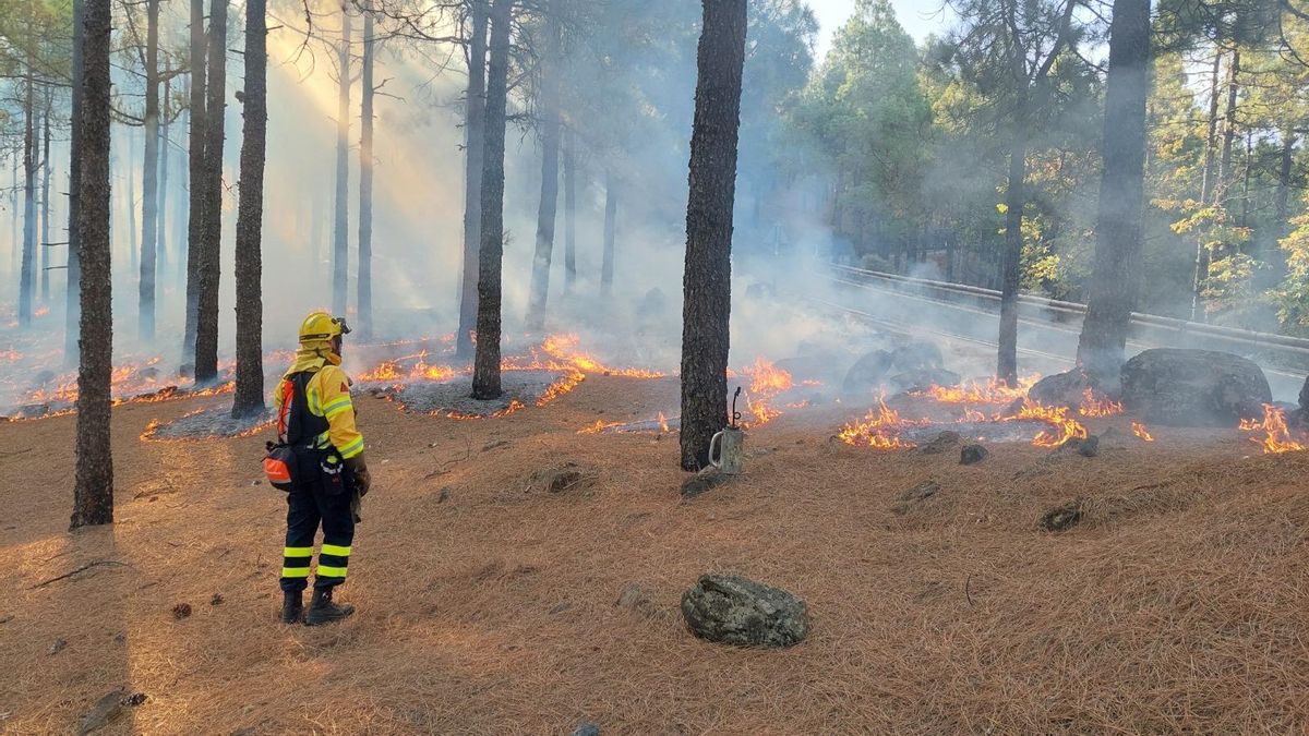 Gran Canaria pasa a "peligro medio de incendios" desde este jueves