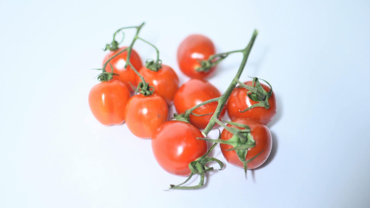 Denuncian un fraude en el etiquetado de tomates cherry comercializados por Carrefour
