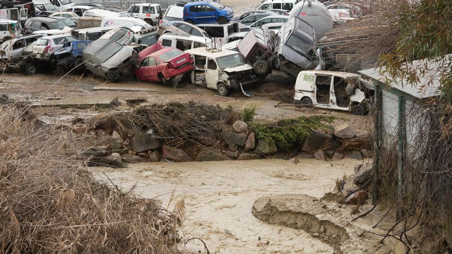 El desguace de la carretera de Granada, inundado por la crecida del Guadalquivir