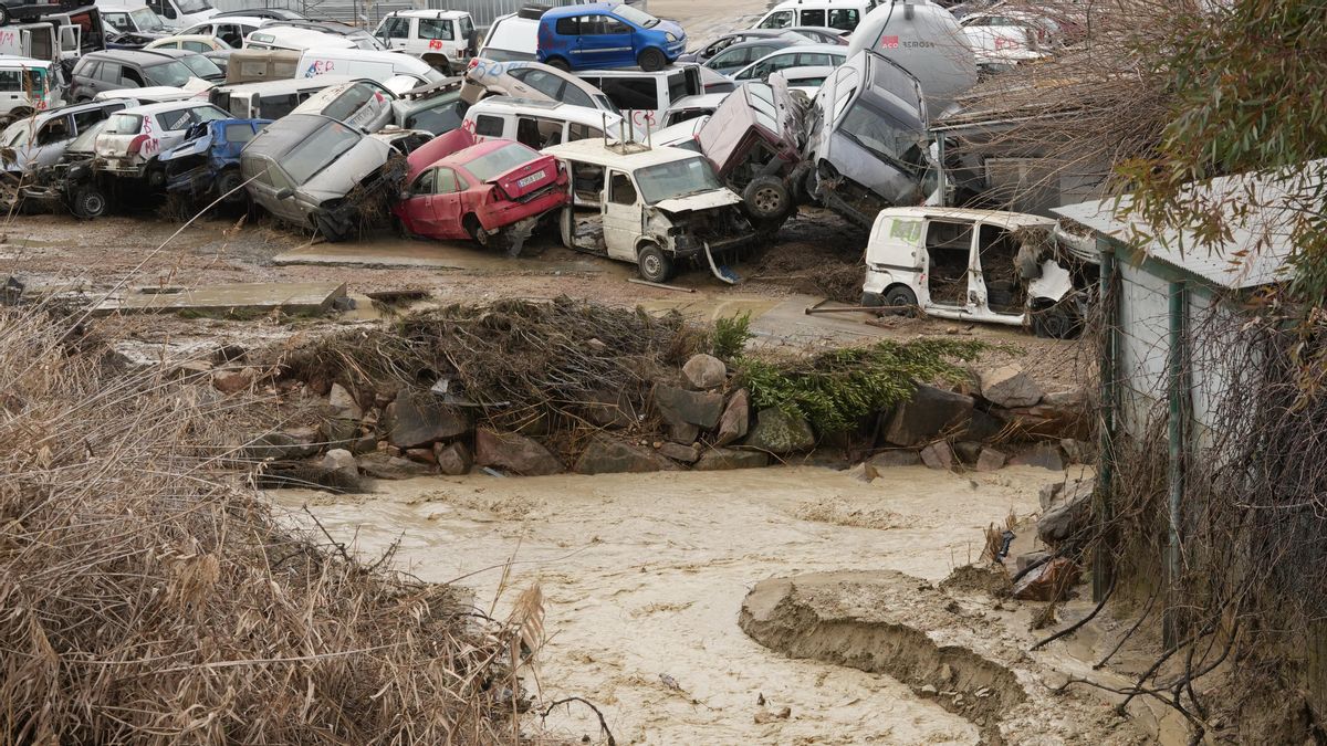 El desguace de la carretera de Granada, inundado por la crecida del Guadalquivir