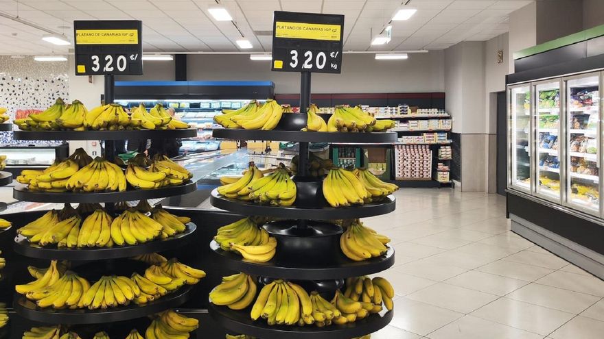 El precio del plátano canario se pone al rojo vivo y los agricultores ya cobran su mejor fruta a 1,54 euros/kilo
