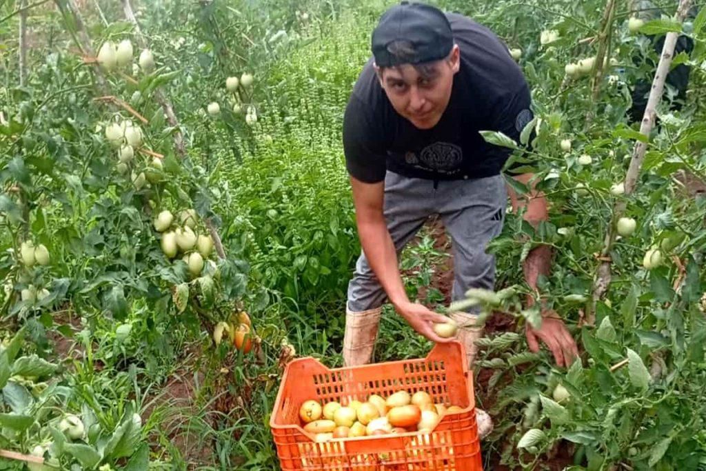 Franco forma parte de la organización campesina Tierra Fértil, que pertenece al Movimiento Nacional Campesino Indígena ( MNCI-Vía Campesina) y es ex alumno de la Escuela Campesina del Mocase (Movimiento Campesino de Santiago del Estero).