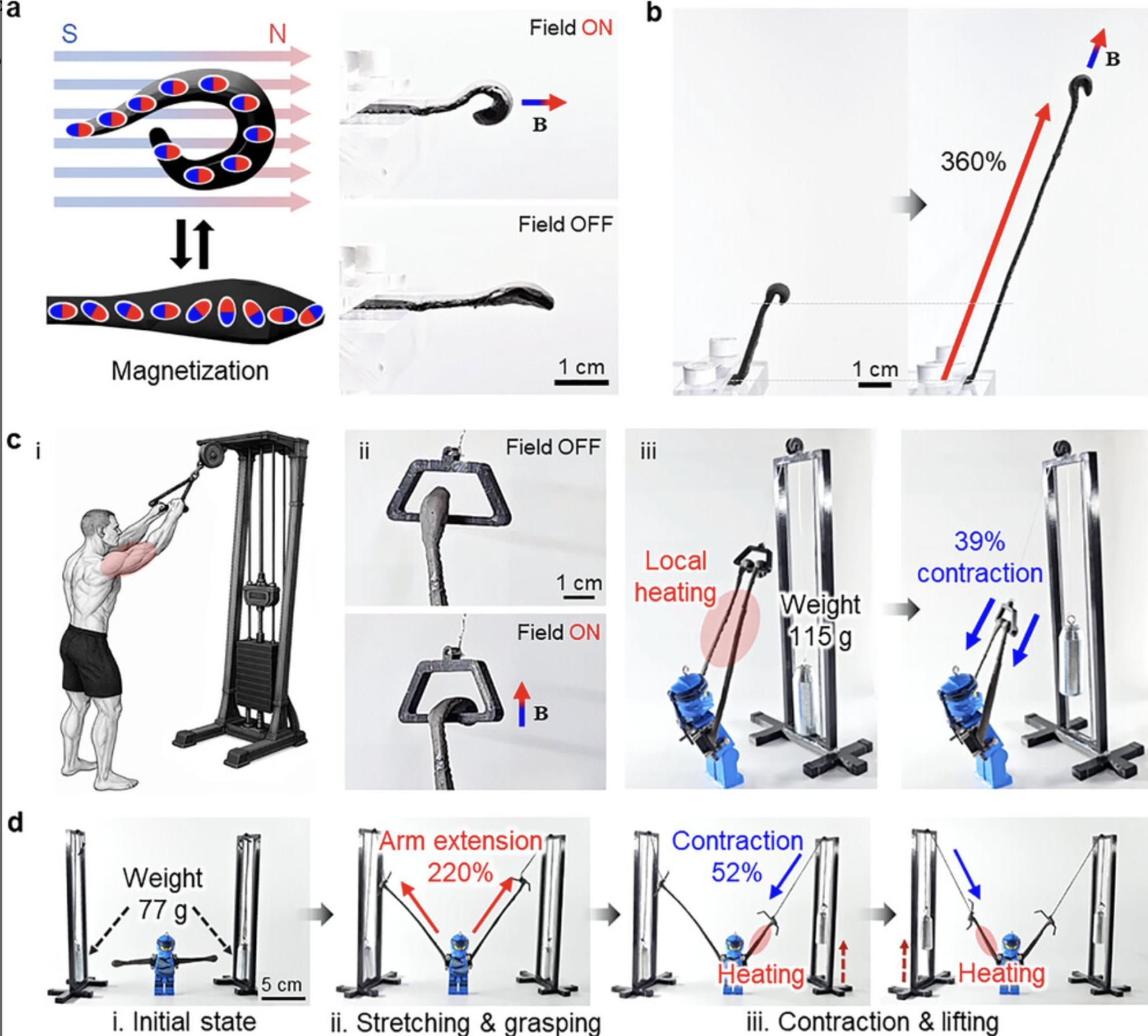 La doble red interna permite endurecer o ablandar el material a voluntad