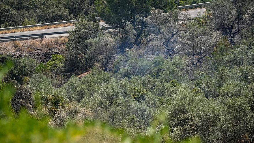 Los bomberos de Córdoba acuden a sofocar una parte del incendio de Cerro Muriano que se había reavivado