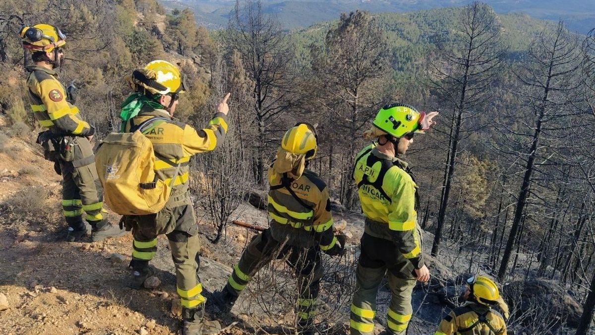Efectivos del operativo de prevención y extinción de incendios de Aragón.