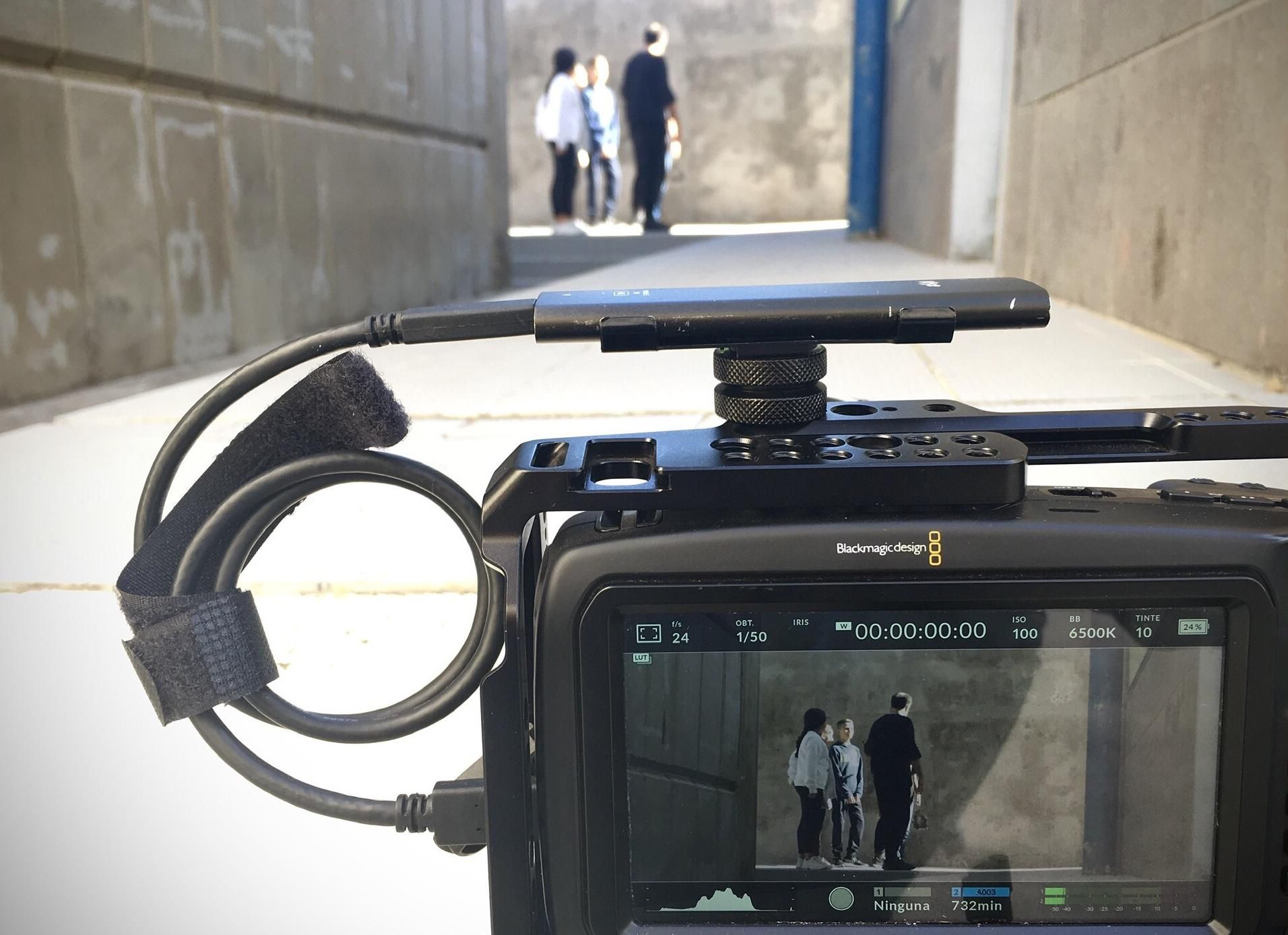 Imagen del proyecto 'La Palma Stop Bullying’