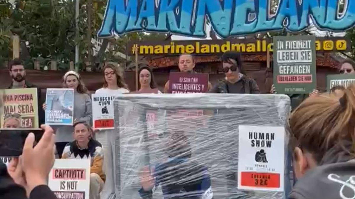 Decenas de activistas se movilizan en Mallorca contra los delfinarios y zoológicos: “No es diversión, es esclavitud”