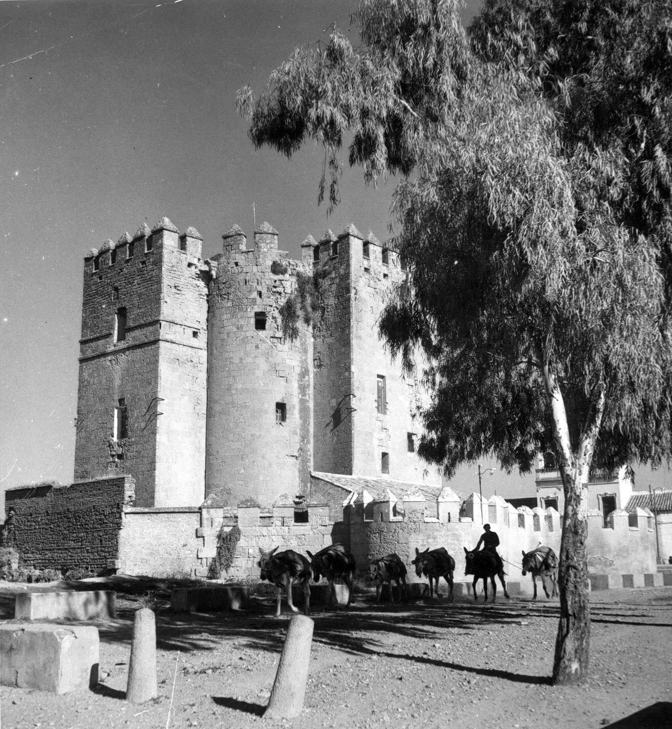 Las fotos que Erika Groth-Schmachtenberger tomó en la Córdoba de 1941