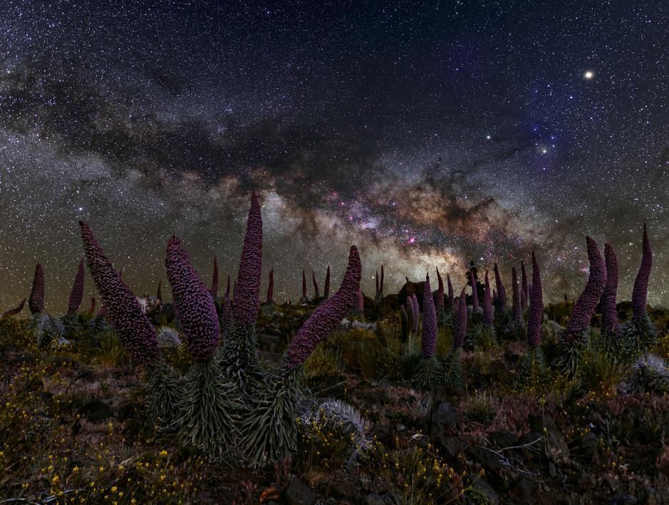 ¡Perdido! de Giovanni Tessicini ha sido la ganadora  en el apartado de 'Paisaje astronómico desde La Palma'.