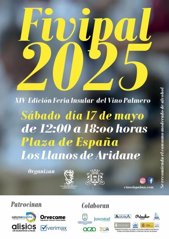 Cartel de la XIV Feria Insular del Vino de La Palma.
