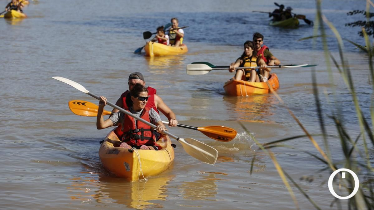 La Velá de la Fuensanta ya está aquí: el Club de Piragüismo de Córdoba organiza la XV Ruta del Caimán